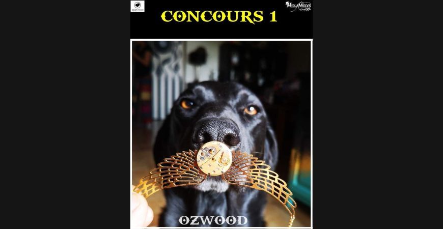 Concours Giveaway Facebook