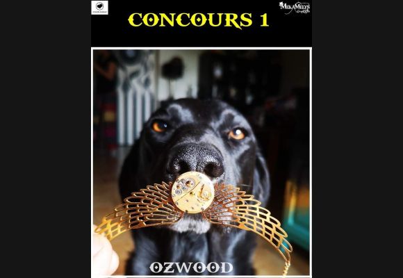 Concours Giveaway Facebook